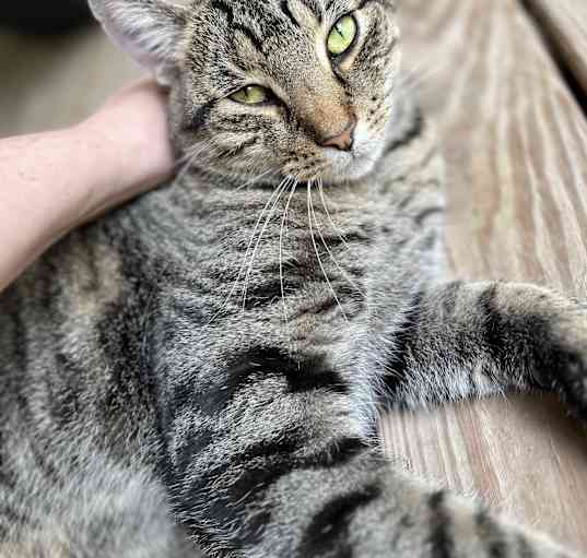 Photo of 97