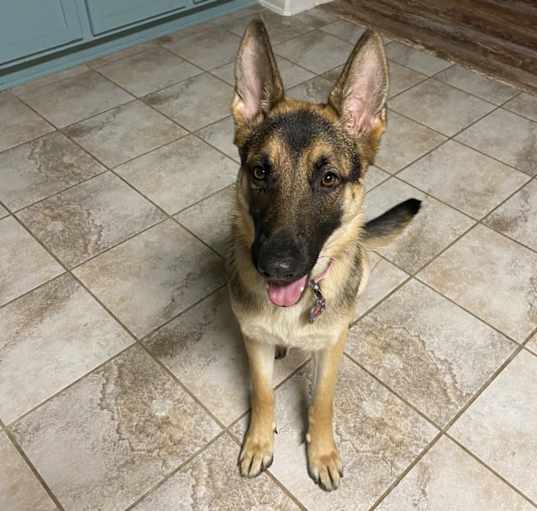 Photo of Kiki