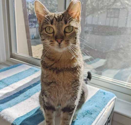 Photo of Hera