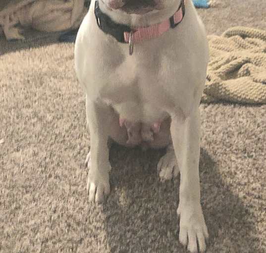 Photo of Ivy