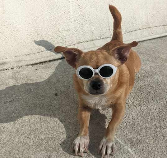 Photo of Creamy