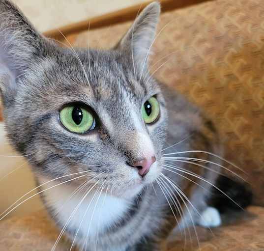 Photo of Max