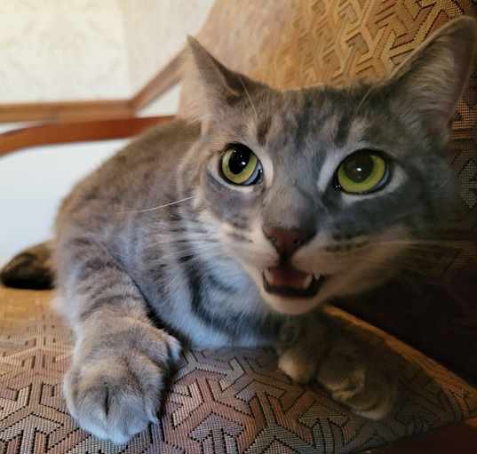 Photo of Margo