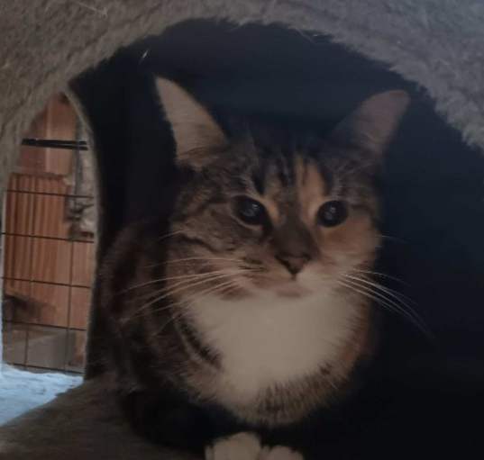 Photo of Tammy