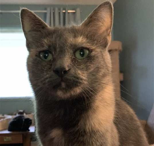 Photo of Miranda Ohio Adopter