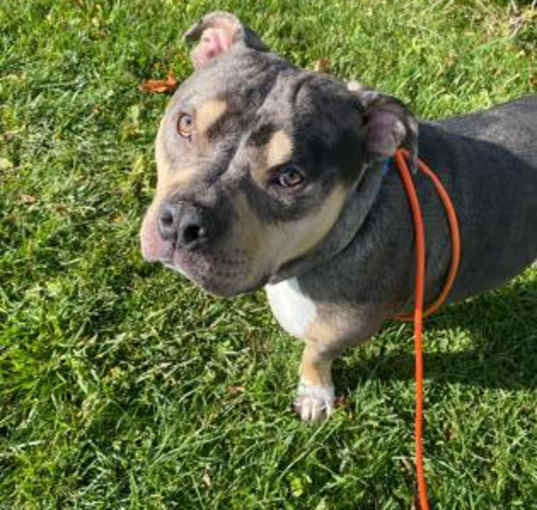 Photo of Junior