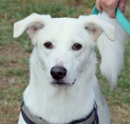 Photo of Benny
