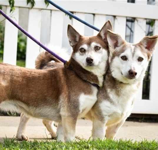 Photo of Edith & Digby