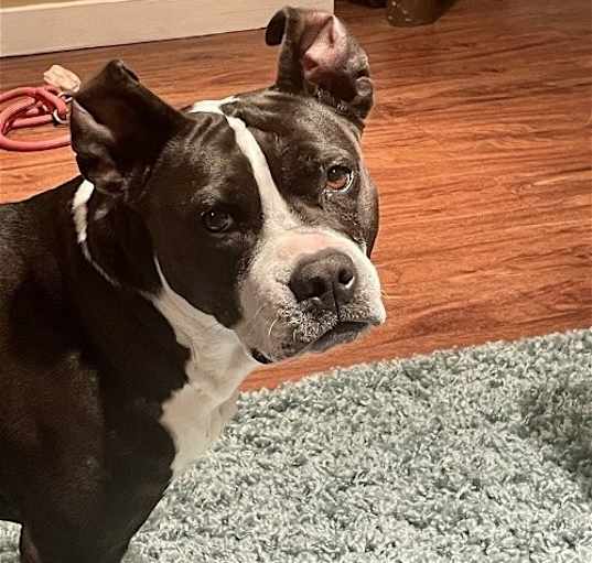 Photo of Dottie