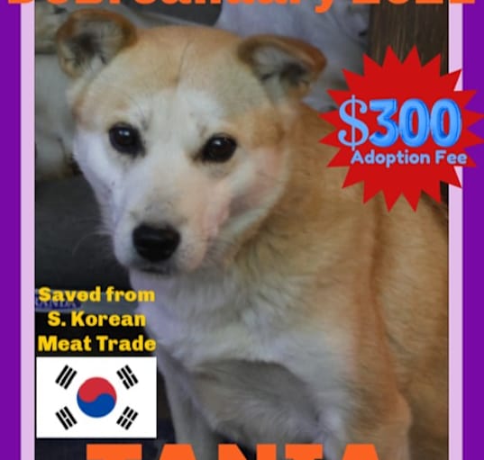 Photo of TANIA - $300
