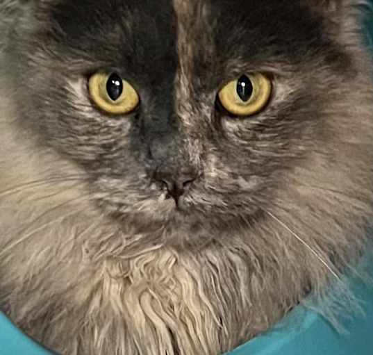 Photo of Vicky