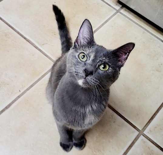 Photo of Shaye