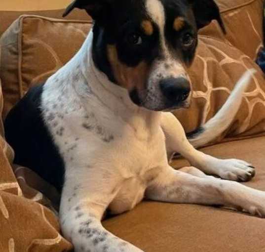 Photo of Princess Sadie