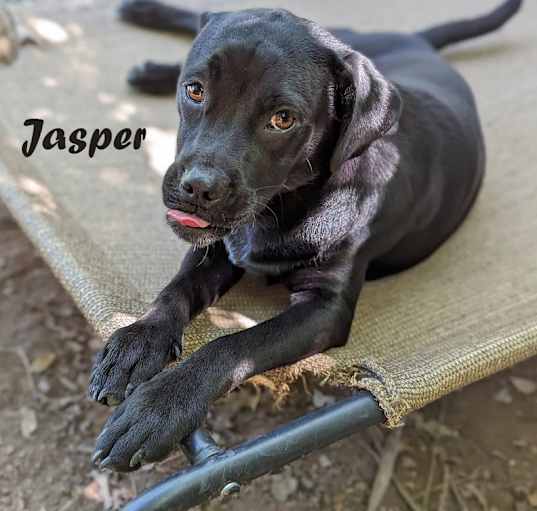 Photo of Jasper D