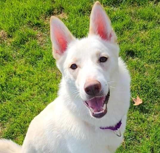 Photo of Phoebe
