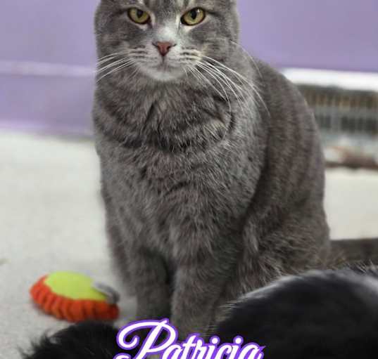 Photo of Patricia