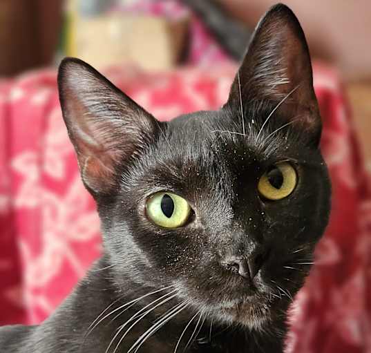 Photo of Miss Reggie