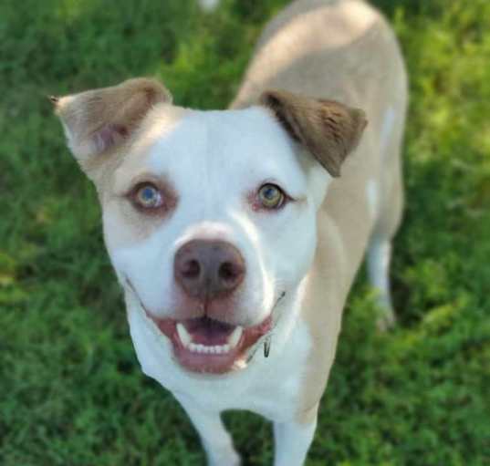 Photo of Poncho