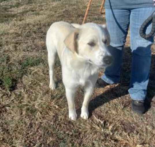 Photo of CASPER