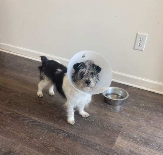 Photo of Hudson/Clyde