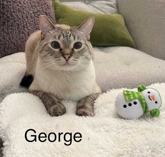 Photo of George