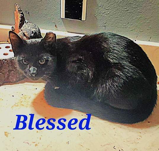 Photo of Blessed