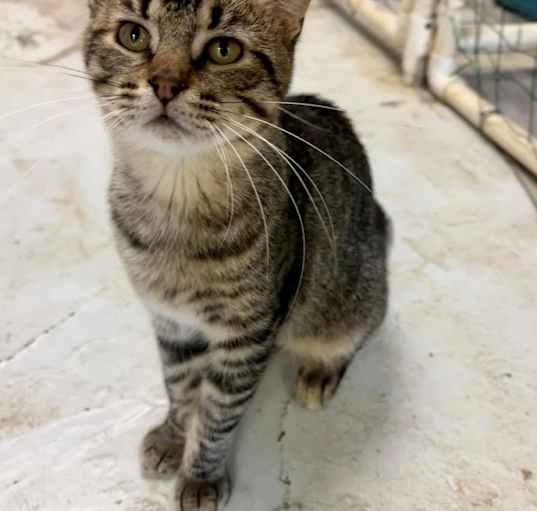 Photo of Binx