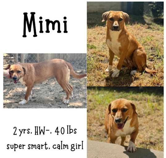 Photo of Mimi