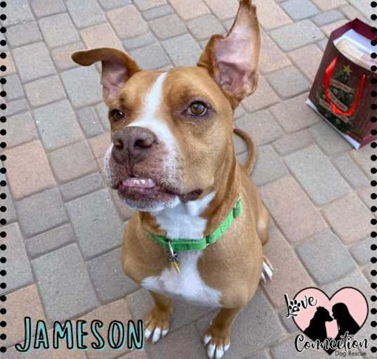 Photo of Jameson