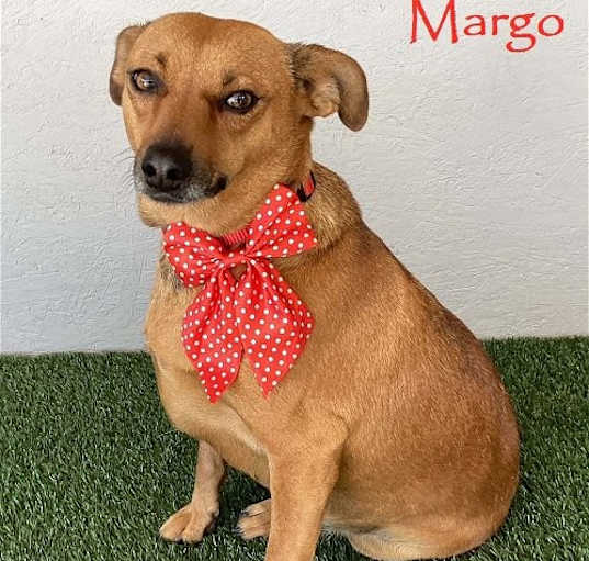 Photo of Margo