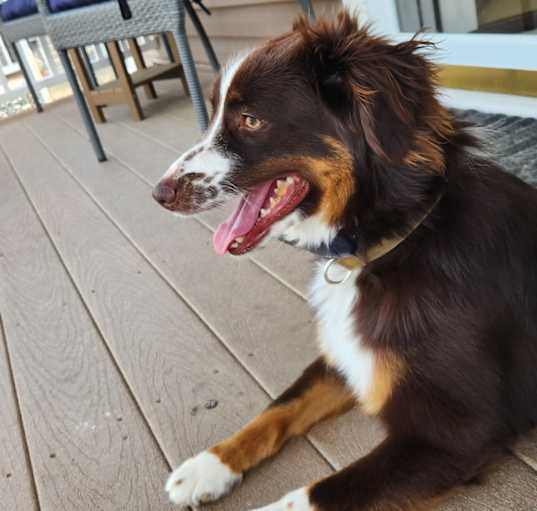 Photo of Korra