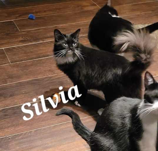 Photo of Silvia