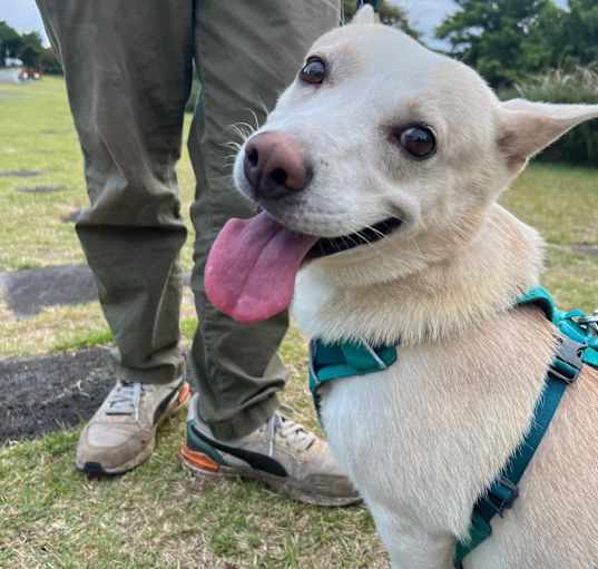 Photo of Buddy