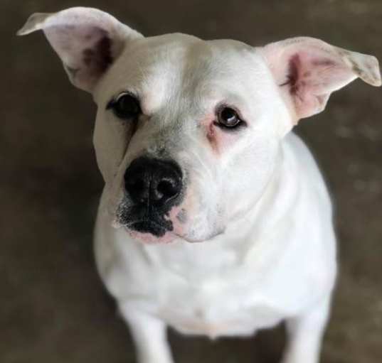 Photo of Lilly