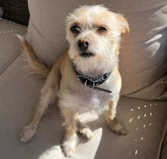 Photo of Mama Chica