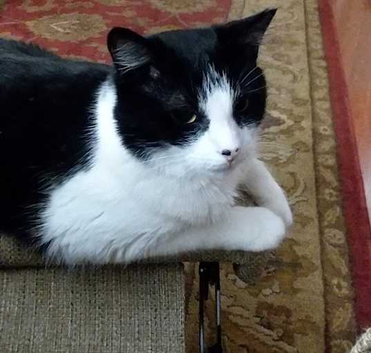 Photo of LITTLE BIT