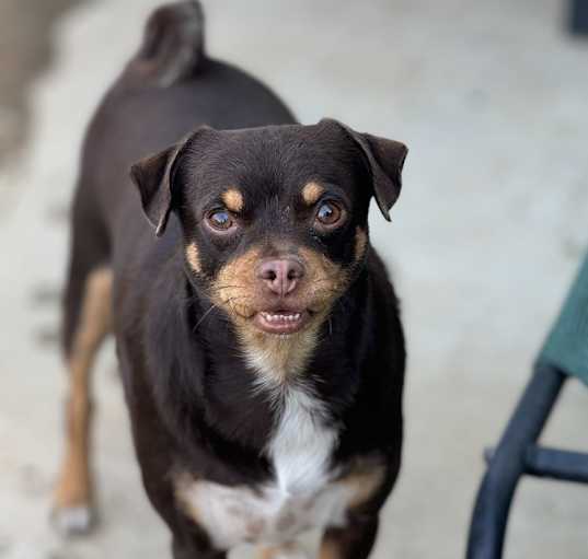 Photo of JUNIOR