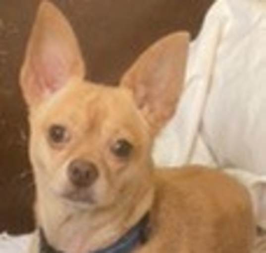 Photo of Marty