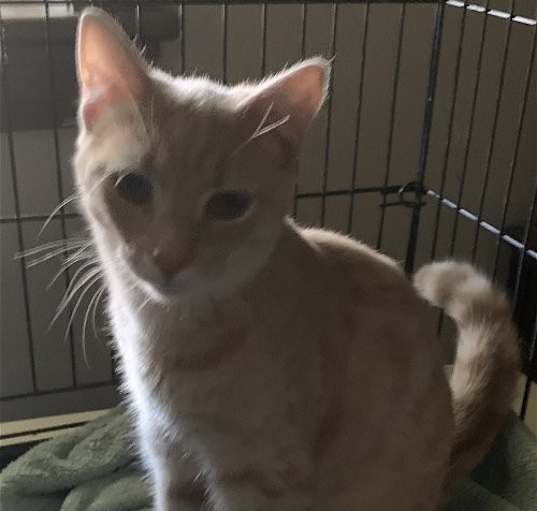 Photo of Buster B