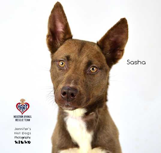 Photo of Sasha