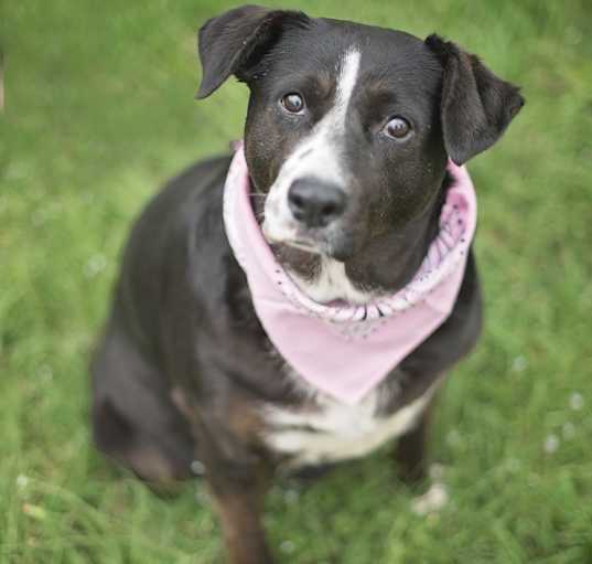 Photo of Betty
