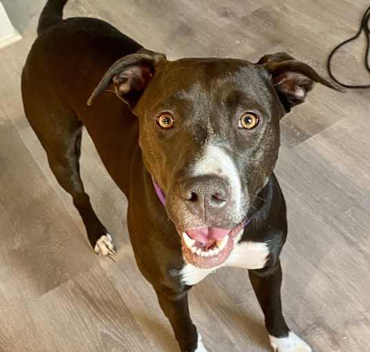 Photo of Ruby