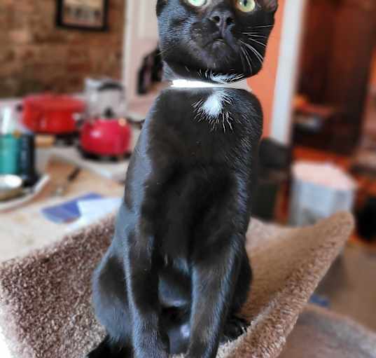 Photo of Happy