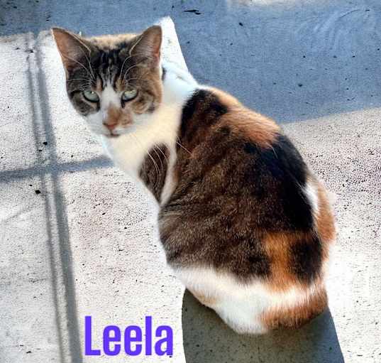 Photo of Leela