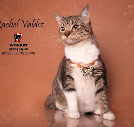 Photo of RACHEL VALDEZ