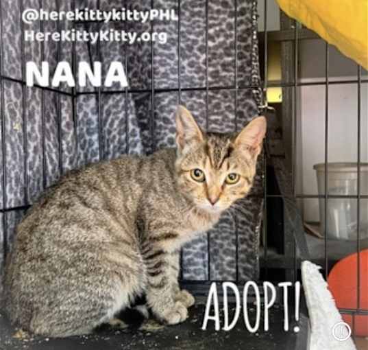 Photo of Nana