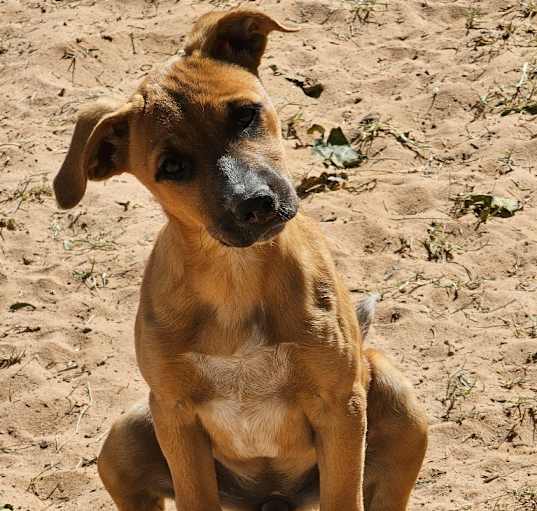 Photo of Etta