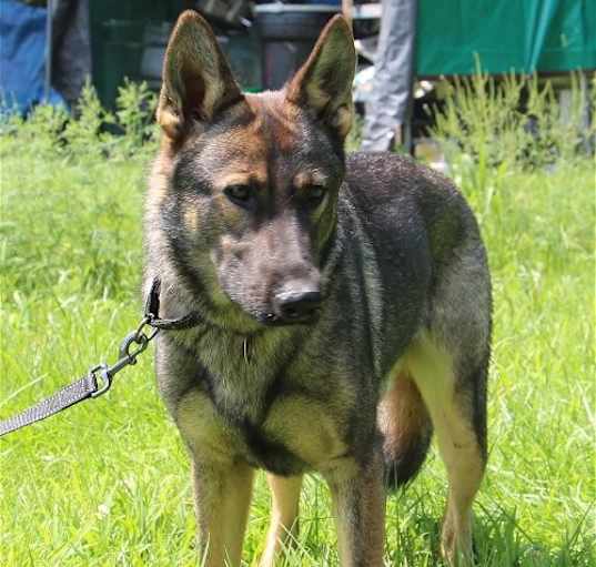 Photo of Zeus