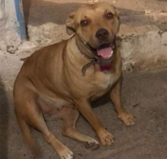 Photo of Lola