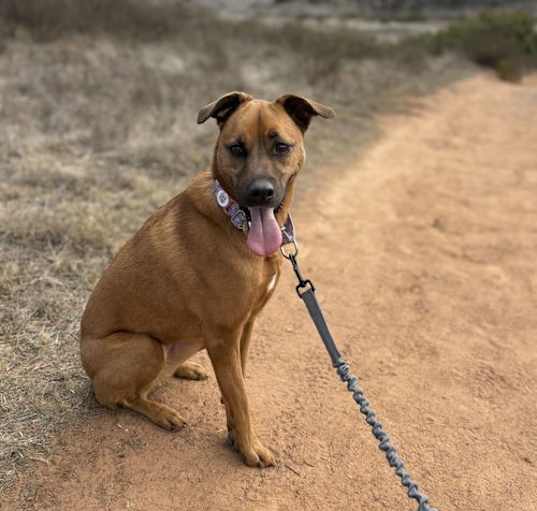 Photo of Phoebe